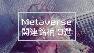 メタバース-Metaverse